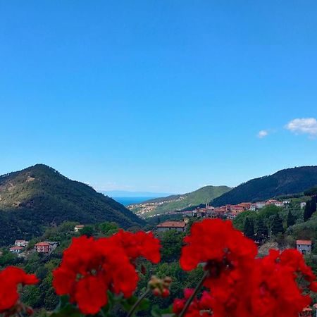 Camera Tra Le Cinque Terre, Camogli E Portofino. Vista Valle E Scorcio Mare All'Orizzonte Castiglione Chiavarese ภายนอก รูปภาพ