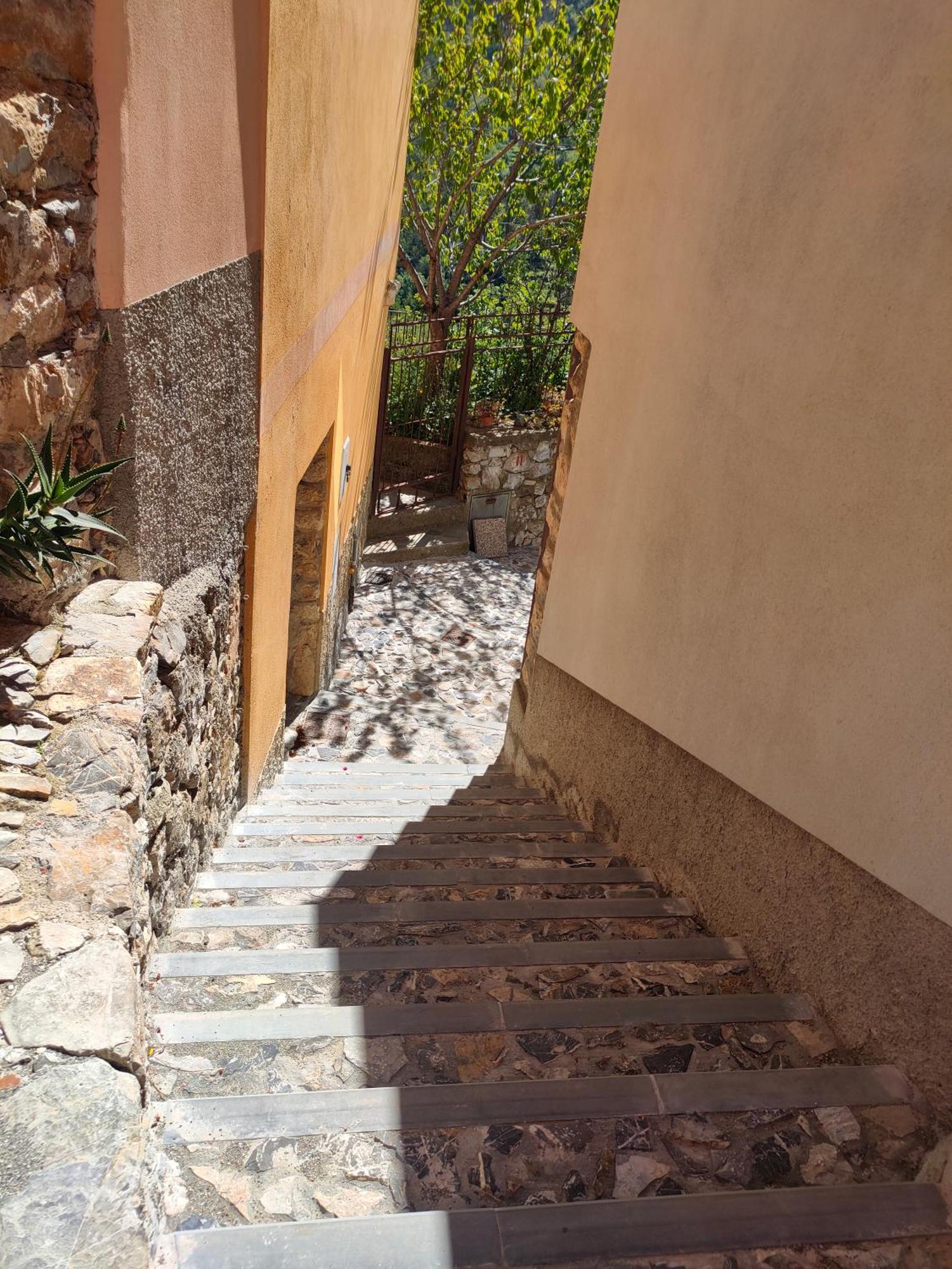 Camera Tra Le Cinque Terre, Camogli E Portofino. Vista Valle E Scorcio Mare All'Orizzonte Castiglione Chiavarese ภายนอก รูปภาพ